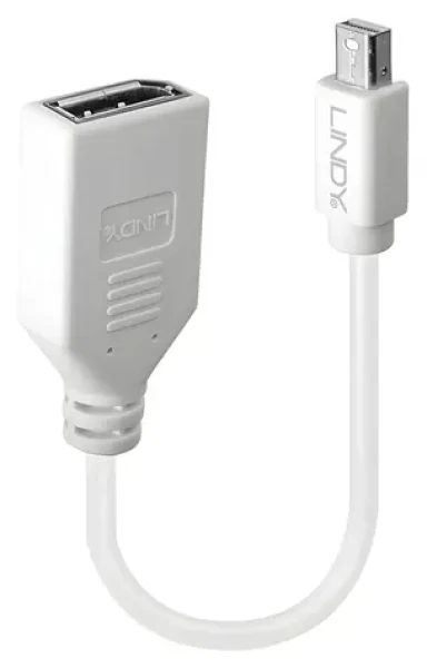 Lindy bílá / Adaptér / Mini DisplayPort (M) - DisplayPort (F) / 0,15 m (41021)