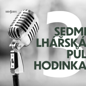 Sedmilhářská půlhodinka 3 - audiokniha