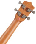 Bamboo U-21 Aurora