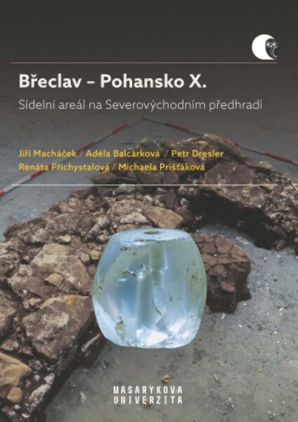 Břeclav – Pohansko X. Sídelní areál na Severovýchodním předhradí - Jiří Macháček, Petr Dresler, Renáta Přichystalová, Adéla Balcárková - e-kniha