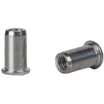 Gesipa 1433909 slepý nýt (Ø x d) 3.2 mm x 8 mm nerezová ocel nerezová ocel nerezová ocel PolyGrip® 1000 ks