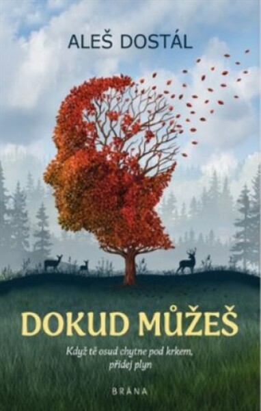 Dokud můžeš