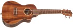 Lanikai ACS-CEC