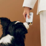 HAY Plechová dóza na pamlsky Blue Small, modrá barva, kov