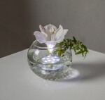 STAR TRADING LED světlo do vody s ovladačem, čirá barva, plast