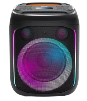 CANYON CNE-PBSP5 černá / přenosný párty reproduktor / BT 5.0 / 40W / RGB / USB-A / microSD / AUX / 6.3mm jack / režim TW (CNE-PBSP5)