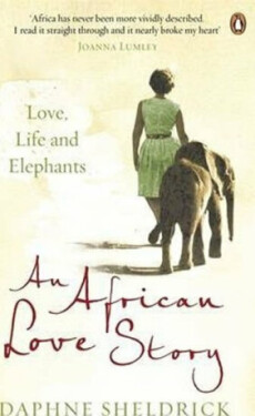 An African Love Story Daphne