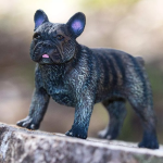 Safari Ltd. Safari Ltd. Figurka - Francouzský buldoček