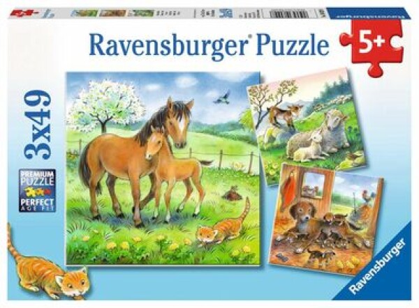 Ravensburger Čas na objetí