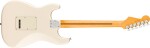 Fender American Professional Stratocaster RW OWT