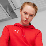 Mikina Puma Team Goal Casuals Hoody W 658621 01 m