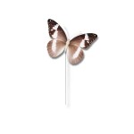 Dortisimo Zápich do dortu Motýl hnědo-bílý