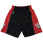 Mitchell & Ness Pánské kraťasy Toronto Raptors NBA 2012-13 Swingman Shorts Velikost: XL