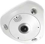 LevelOne FCS-3095 / IP kamera / Fisheye dome / 12MP / H.265 / IR 15m / PoE / IP67 (FCS-3095)