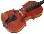 Vienna Violin Violine Pinus II 4/4