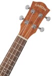 Cascha HH 2036 CZ Concert Mahogany Ukulele Bundle