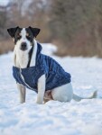 Argo zateplený svetr pro psa Barva: Vínová, Délka zad (cm): 21, Obvod hrudníku: 30 - 40 cm