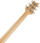 PRS SE Swamp Ash Special Iri Blue 2026