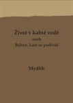 Život v kalné vodě aneb Bahno, kam se podíváš - Miroslav Krůta