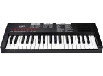Klávesy s mikrofonem 40 cm