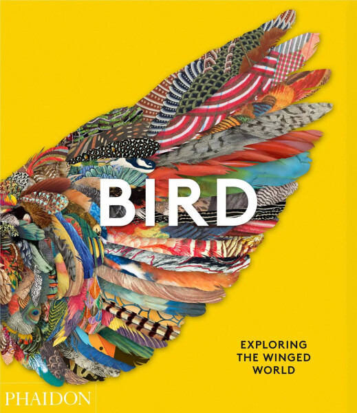 Bird: Exploring the Winged World - Jen Lobo