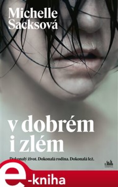 V dobrém i zlém - Michelle Sacksová e-kniha