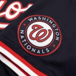 Nike Pánský dres Washington Nationals MLB Limited Baseball Alternate Velikost: XL