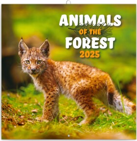 Kalendář 2025 poznámkový: Zvířátka lesa, 30 30 cm