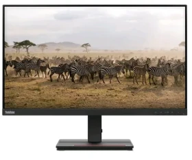 19.5 Lenovo ThinkVision E20-30 černá / TN / 1600 x 900 / WLED / 16:9 / 5ms / 1000:1 / 250cd-m2 / VGA+HDMI (62F7KAT4EU)