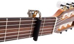 Shubb C2 Standard Capo Nylon String