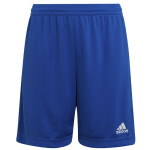 Dětské šortky Adidas Entrada 22 Short Jr HG6291 cm