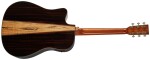 Tanglewood TJ 5 CE