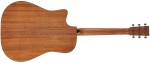 Furch Vintage Pure Dc-SM CNR Active