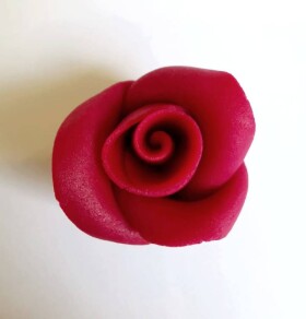 Dortisimo Cukrová růže malá bordó (49 ks)