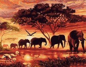 Malování podle čísel - Sloni v západu slunce 40 x 50 cm (bez rámu)