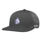 Pánská kšiltovka Český hokej CCM Snapback Lev Charcoal