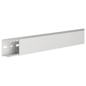 Hager HNG3705007035B vodicí lišta (d x š x v) 2 m x 50 mm x 37 mm 2 m šedá