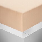 Stanex Napínací prostěradlo jersey - lososové ROZMĚR: (š/d/v) 160 x 200 x 20 cm, Barva: LOSOSOVÉ