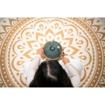 Meinl Sonic Energy 10" Octave Steel Tongue Drum F# Minor