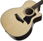 Taylor 314ce SE Rosewood (rozbalené)