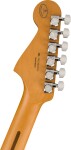 Fender Limited Edition Player Plus Meteora EB BK
