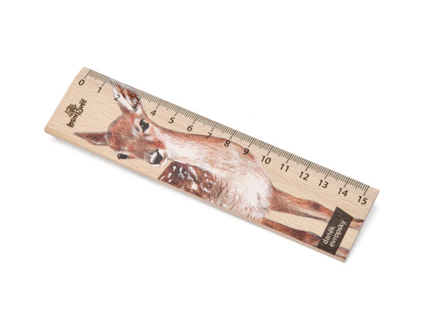 Dřevěné pravítko 15 cm - Daněk