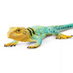 Safari Ltd. Safari Ltd. Figurka - Leguánovec obojkový