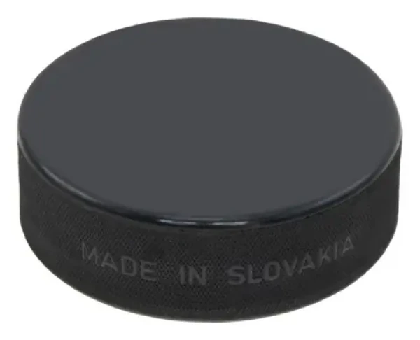 RULYT Hokejový puk Junior / Hokejový puk / Průměr 6 cm / Hmotnost 90 g (PUKMALY)