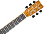 Tanglewood TRX2E