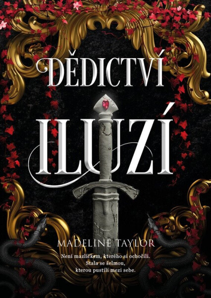 Dědictví iluzí - Taylor Madeline