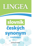 Slovník českých synonym antonym,