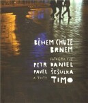 Během chůze Brnem - Daniel Petr