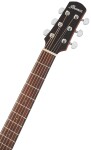 Ibanez AAD100 Natural