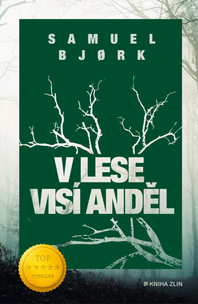V lese visí anděl - Samuel Bjørk